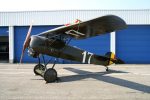 Fokker D.VIII N111EV/17 Belgian Air Force