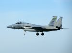 F-15C Eagle 81-0039 JZ 122nd FS LA ANG (2)
