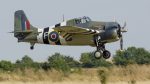 Grumman FM-2 Wildcat (G-RUMW) JV579/F Royal Navy, The Fighter Collection