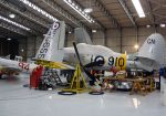 Hawker Sea Fury T.20 G-CHFP/WG655/GN-910 Royal Navy