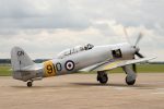 Hawker Sea Fury T.20 (NX20MD) WG655/GN-910 Royal Navy, The Fighter Collection