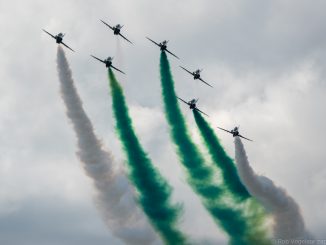 Saudi Arabian Hawks